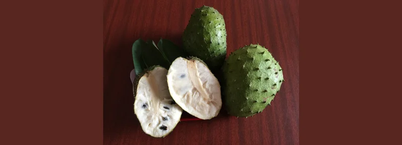 Fact-check: Soursop not an alternative for cancer treatment