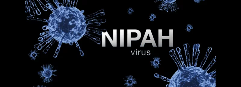 Nipah-Virus