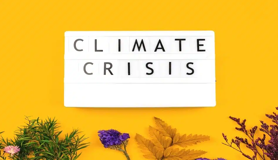 The mental health fallout of climate carnage