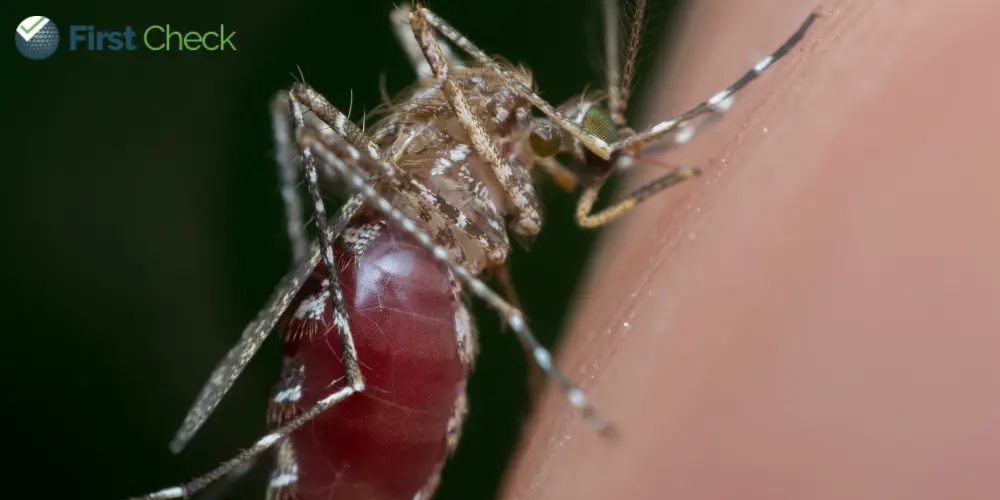 Explainer: The spread of West Nile Virus