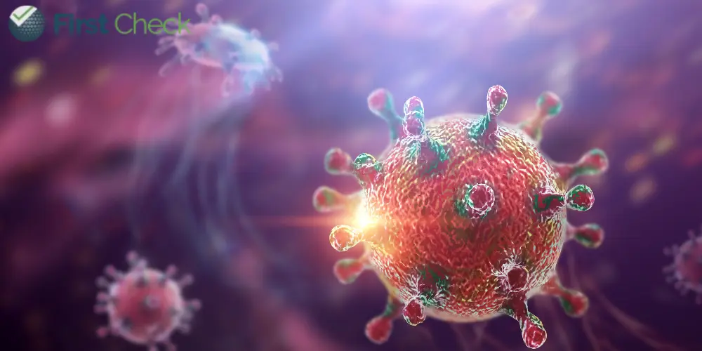 Explainer: The threat of Chandipura Virus