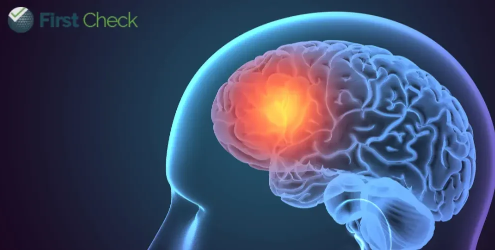 amoebic meningoencephalitis