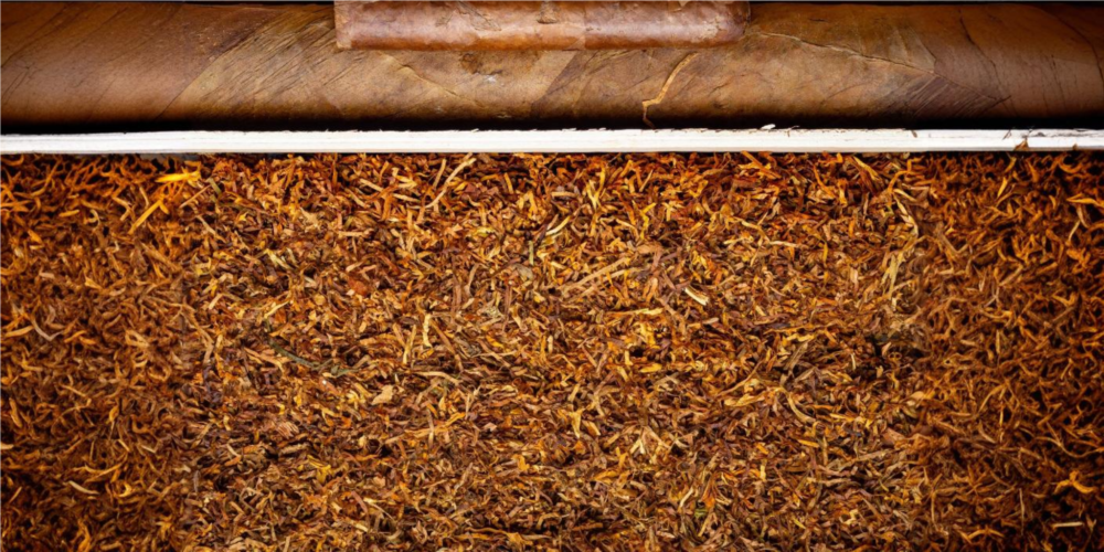 West Bengal extends ban on gutkha and pan masala for another year