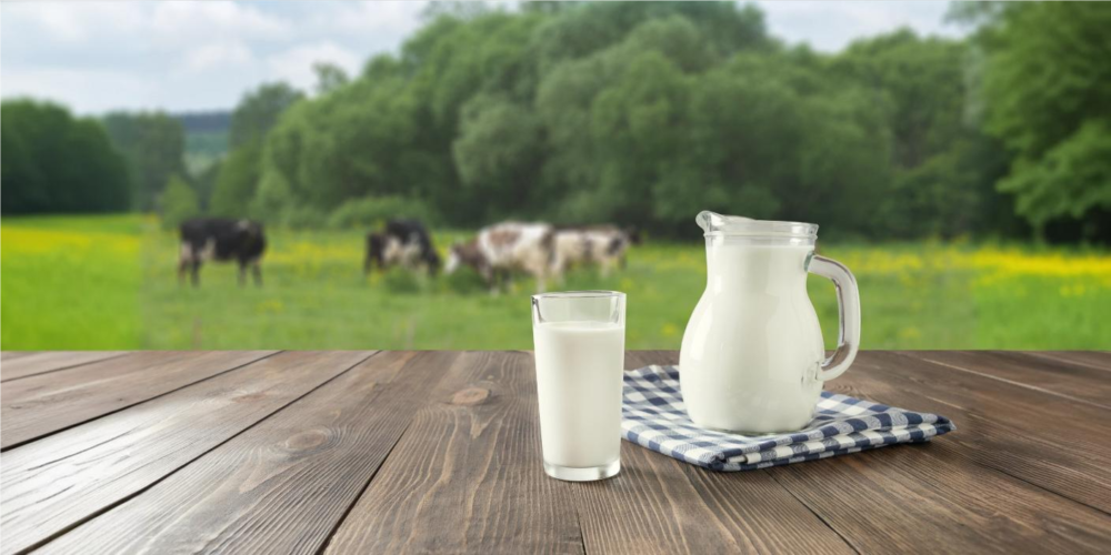 FACT CHECK: Is milk from hormone-injected cows a cancer threat?