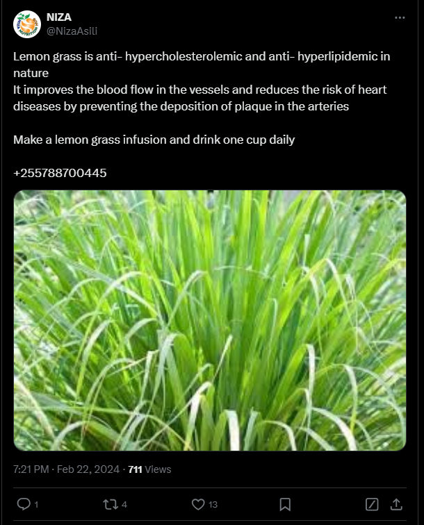 lemongrass 