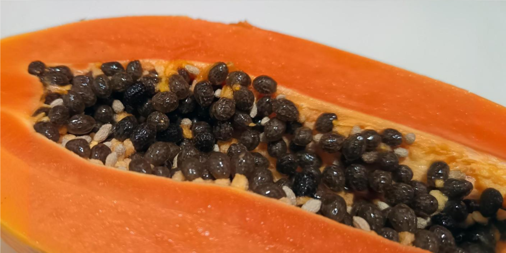 FACT CHECK: Can swallowing papaya seeds prevent pregnancy