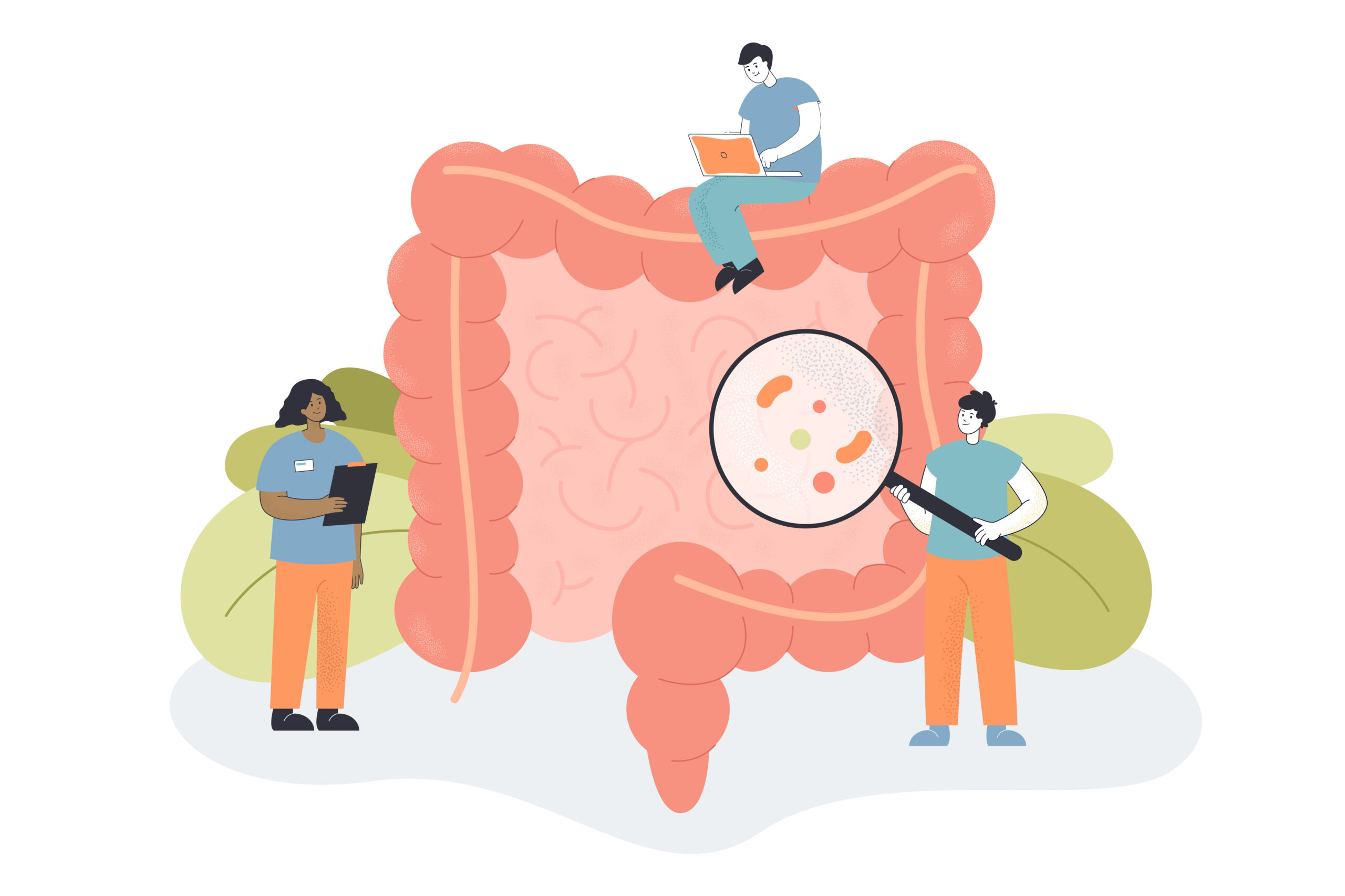 gut health