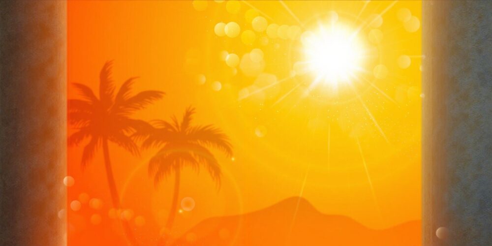 In a hottest decade on record, 2024 was warmest, with 41 dangerous heat days: WMO