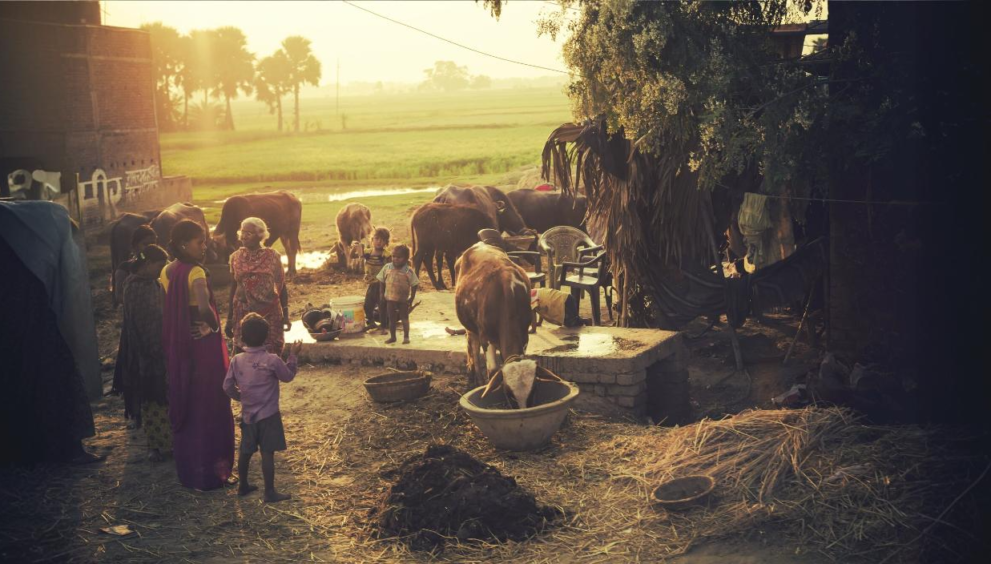 communicable disease