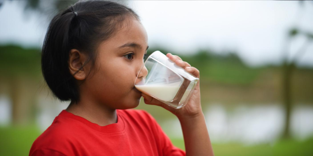 FACT CHECK: Should Keralites give up milk?