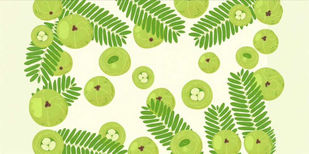 FACT CHECK: Amla is ayurveda’s most powerful medicine against diabetes