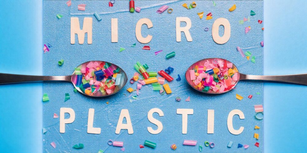 FACT CHECK: Can fermented foods reduce, remove, or eliminate microplastics from our bodies?