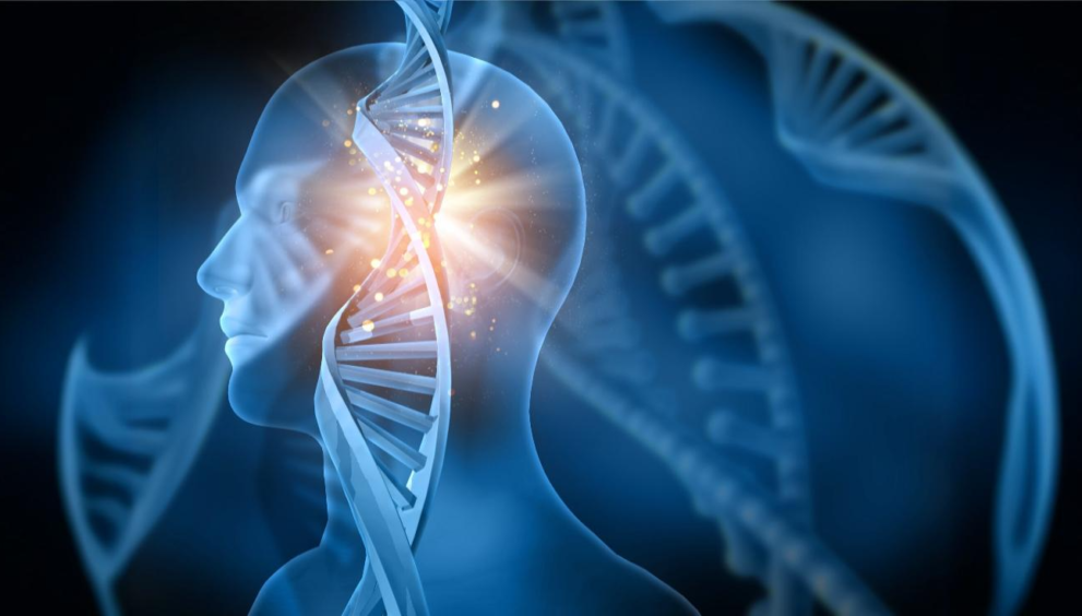 Guillain-Barre Syndrome