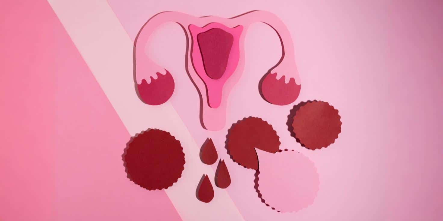 Microplastics found in human ovaries for the first time, raising fertility fears