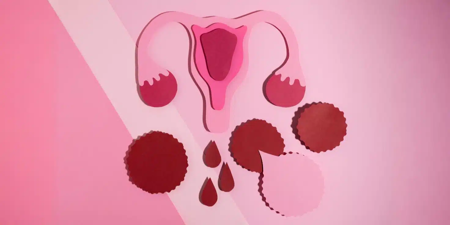 Microplastics found in human ovaries for the first time, raising fertility fears