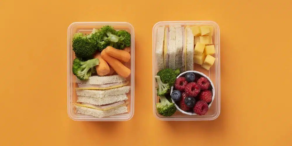 Toxic plastic chemical linked to 1 lakh heart deaths in India: Lancet study