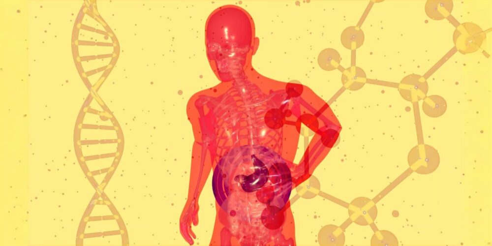 Simple ways to reduce microplastics in what you eat and drink