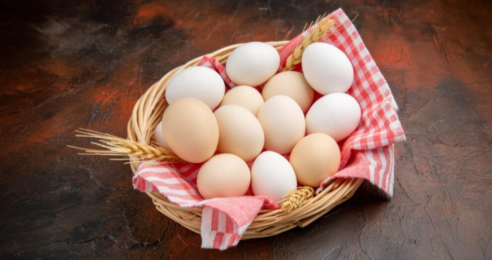 eggs