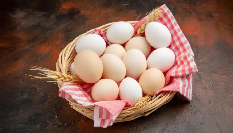 eggs
