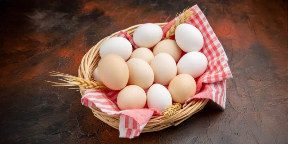 FACT CHECK: Do eggs feed viruses or cause chronic illnesses?