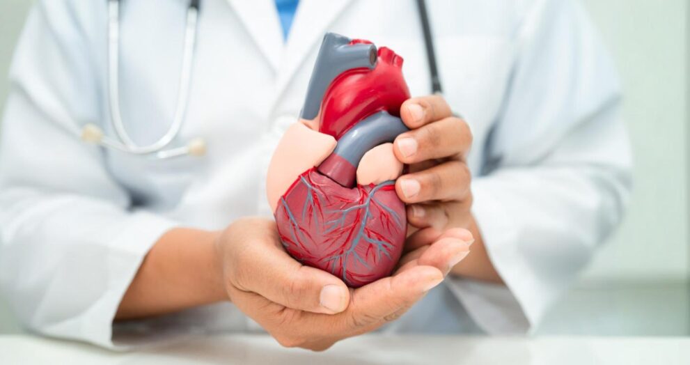 cardiovascular