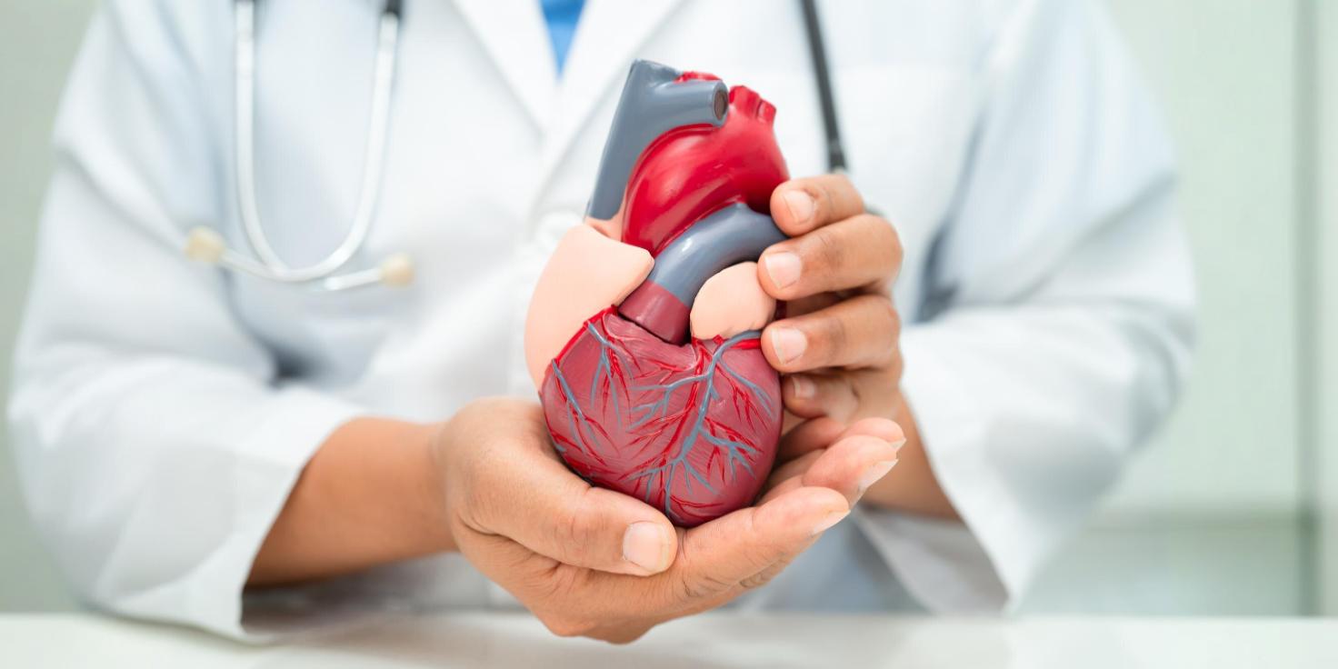 India global leader in cardiovascular deaths linked to plastics, study in The Lancet finds