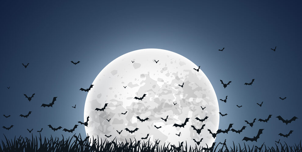 Bats
