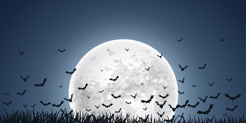 New Nipah-like viruses found in Chinese bats, scientists warn