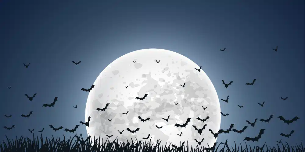 New Nipah-like viruses found in Chinese bats, scientists warn