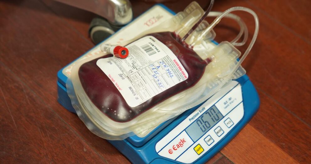 blood donor