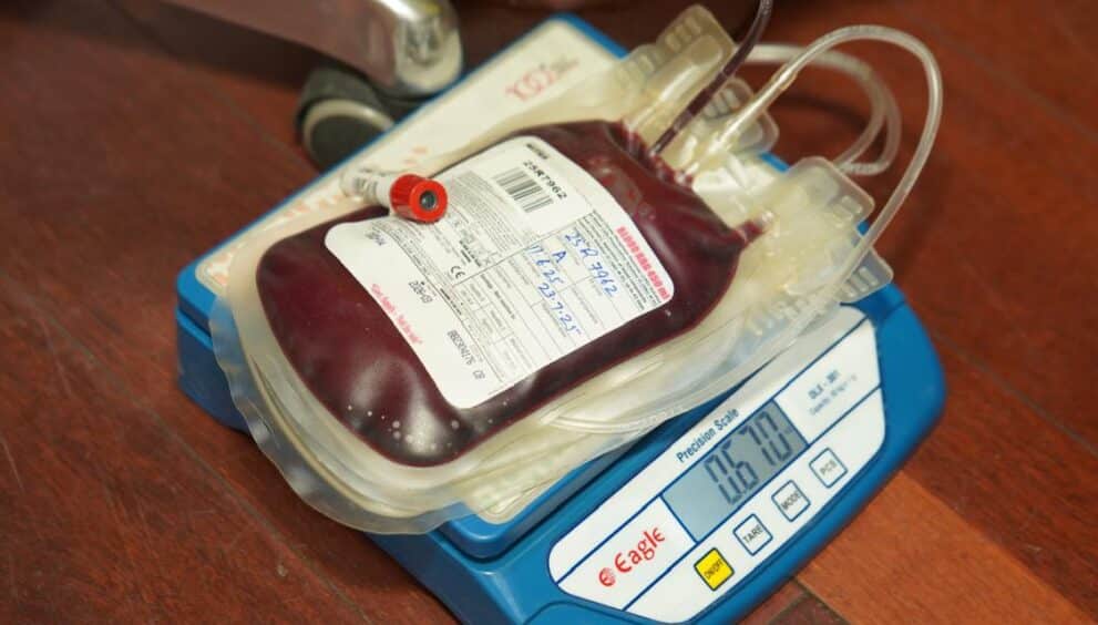 blood donor