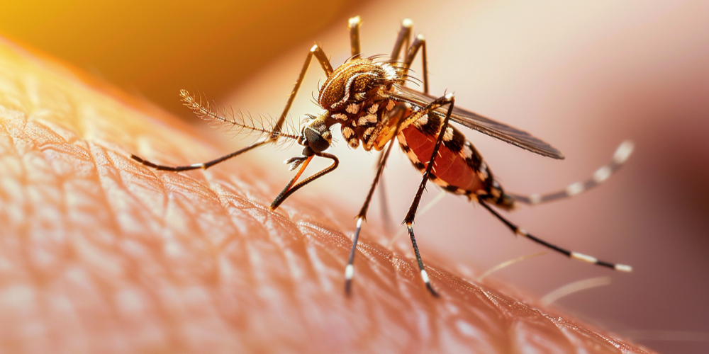 FACT CHECK: Mosquito coils can be as harmful as ‘100 cigarettes’