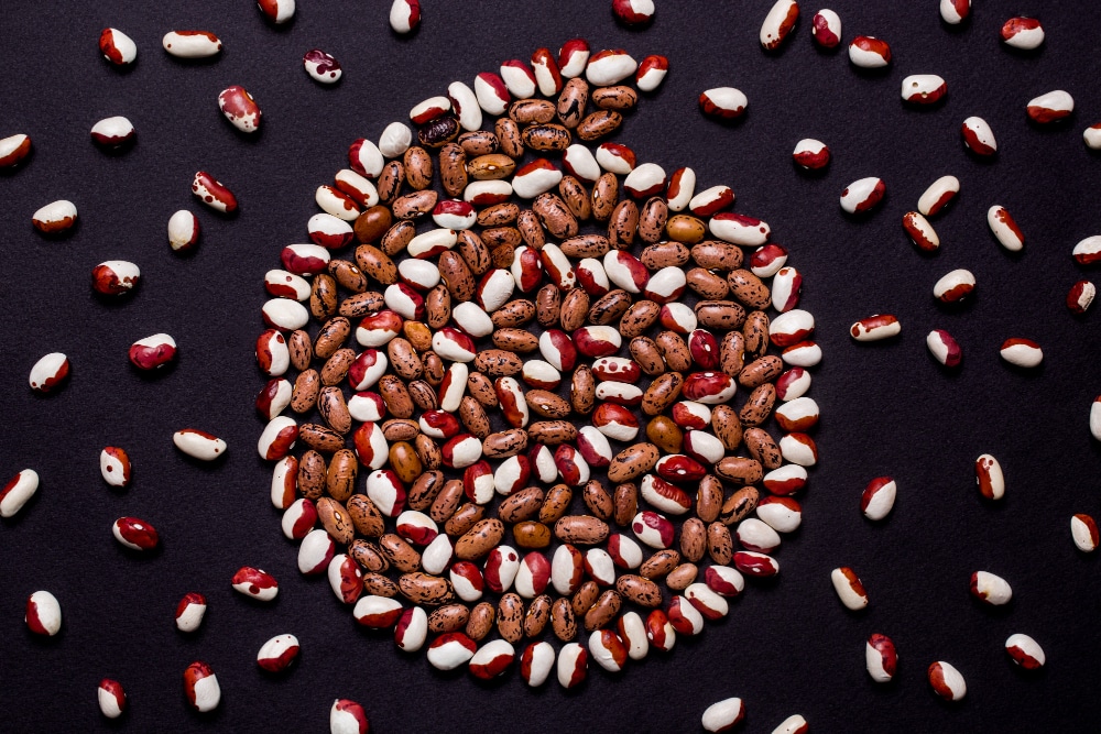 chia seeds