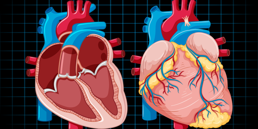 We should not miss a beat to take care of our own heart health, says Dr Tarun Kumar 