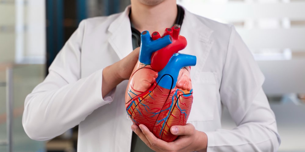 Bayosthiti AI and Narayana Health to build India’s first AI-powered heart disease predictor