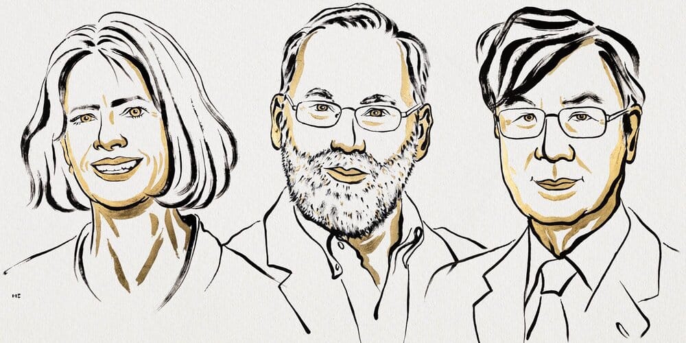 Mary E. Brunkow, Fred Ramsdell and Shimon Sakaguchi Win 2025 Nobel Prize in Medicine for Pioneering Work on Immune Tolerance