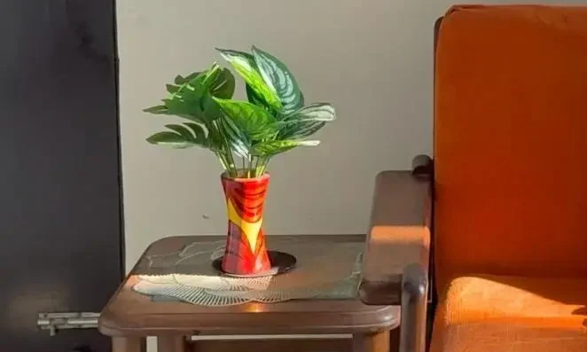 ‘People think you can’t live normally’: This schizophrenia survivor proves otherwise