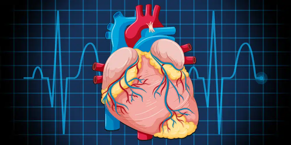 American Heart Association’s new cholesterol guidelines: What’s in it for your heart health