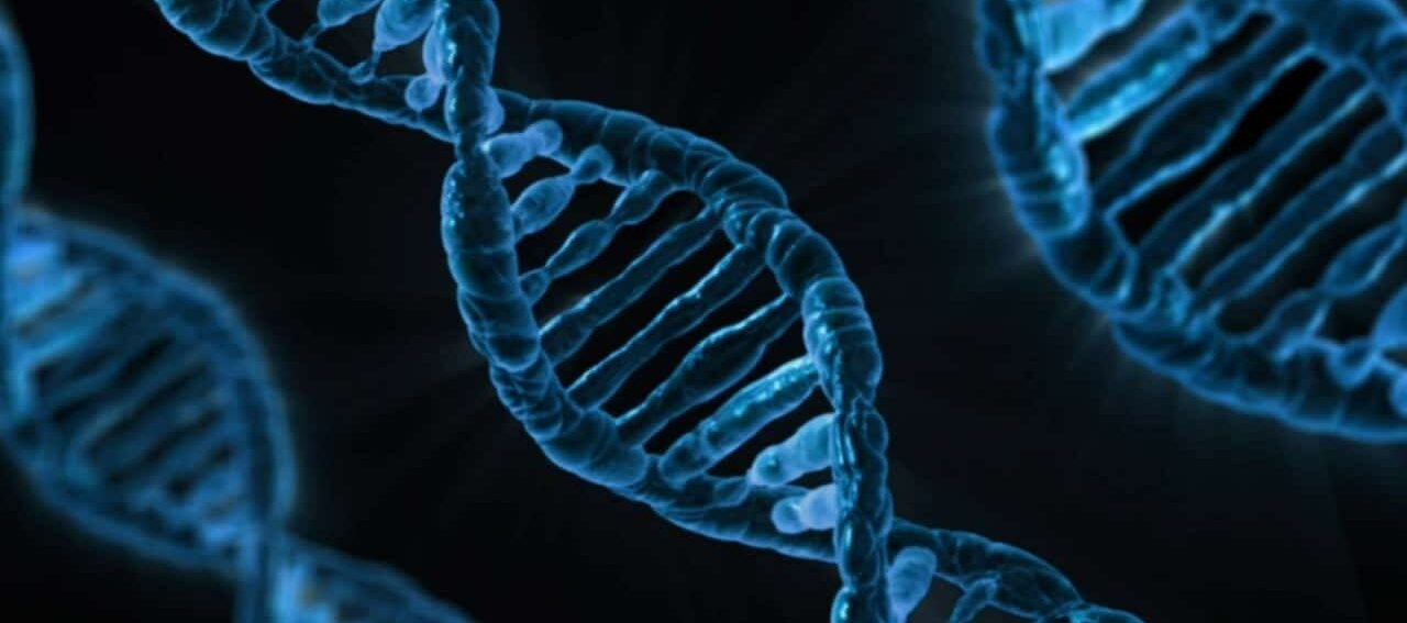 Genes may shape half of human lifespan: New study challenges long-held beliefs 