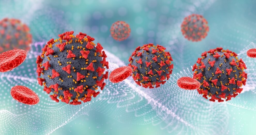 norovirus