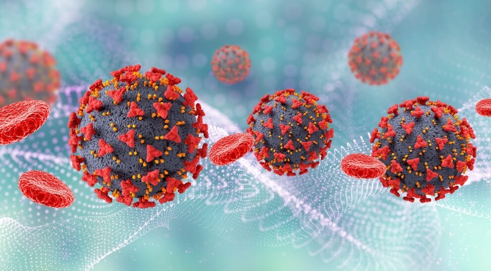 norovirus