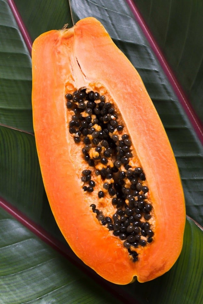 papaya