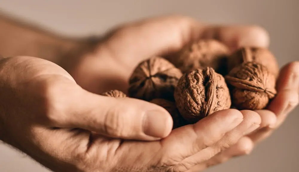 FACT CHECK: Do walnuts really boost memory and give you glowing skin?
