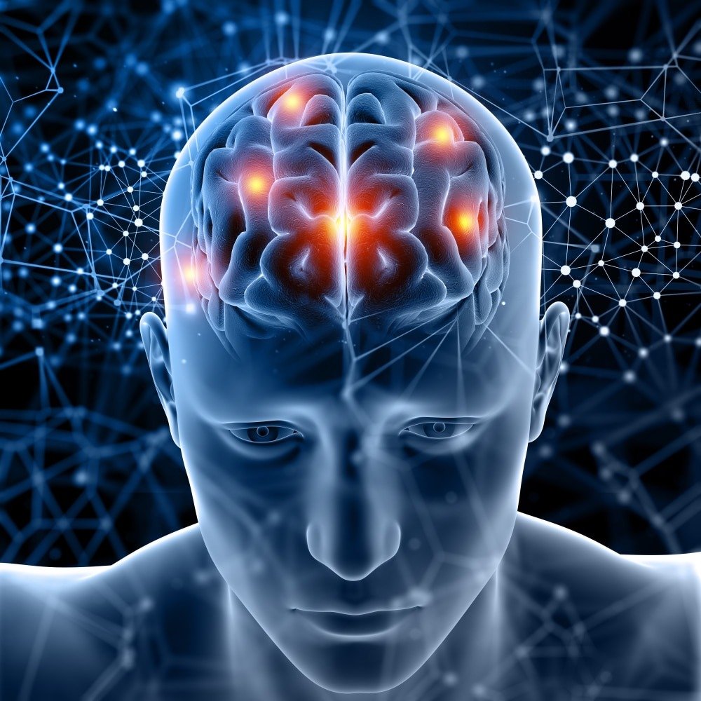brain