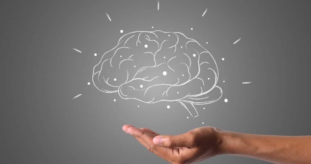 brain