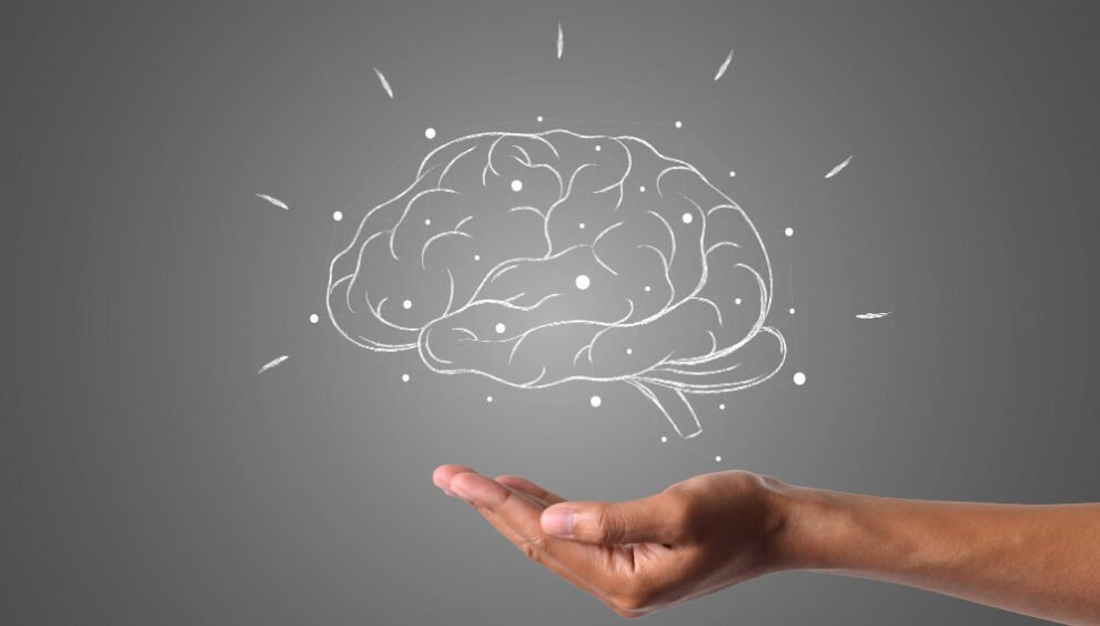 brain
