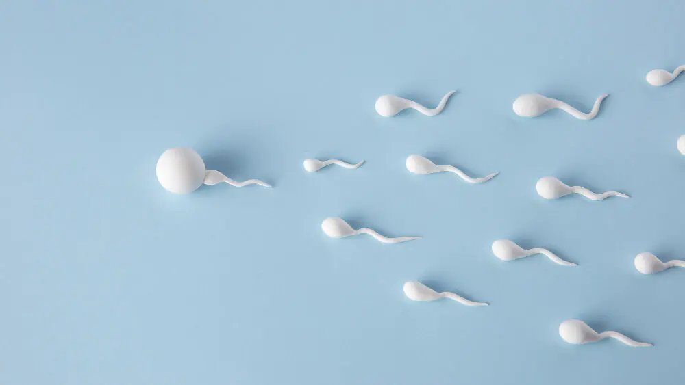 FACT CHECK: Can microplastics affect men’s fertility?