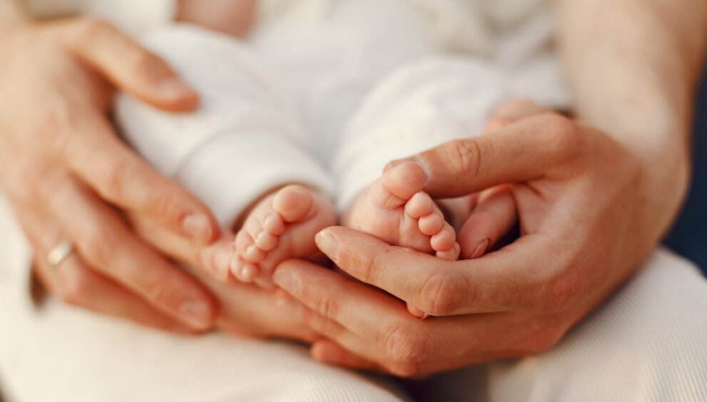 IVF