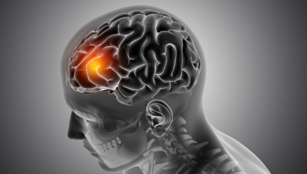 brain